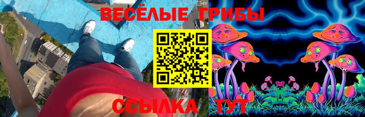 Галлюциногенные грибы Psilocybine cubensis Кыштым