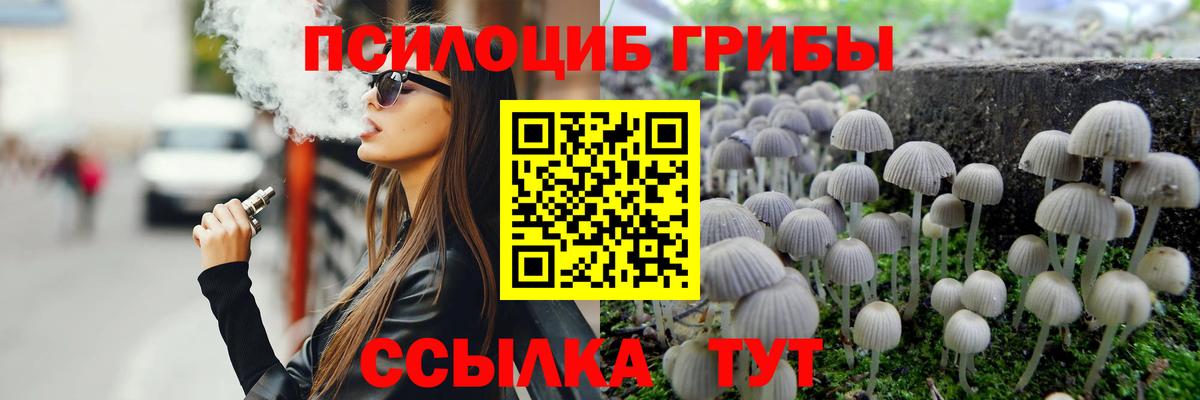 Псилоцибиновые грибы Cubensis  Галлюциногенные грибы мицелий  Вход с VPN  Кыштым 